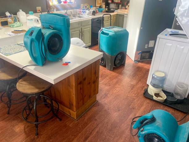 Best 24-hour water damage restoration  in South St Paul, MN